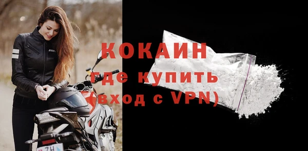 прущие грибы Рославль