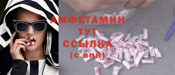 прущие грибы Рославль