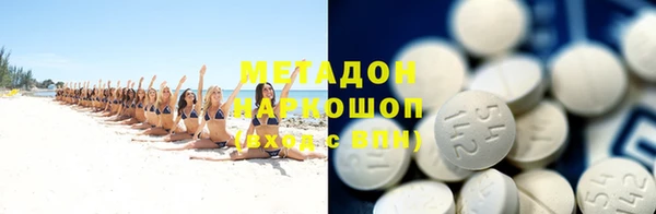 прущие грибы Рославль