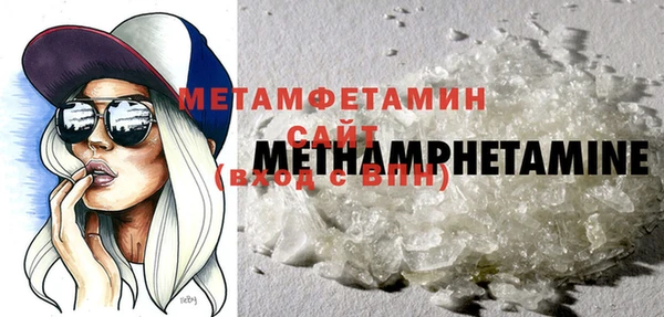 прущие грибы Рославль