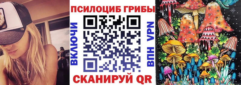 где продают наркотики  Чехов  Псилоцибиновые грибы прущие грибы 
